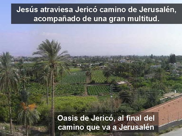 Jesús atraviesa Jericó camino de Jerusalén, acompañado de una gran multitud. Oasis de Jericó,