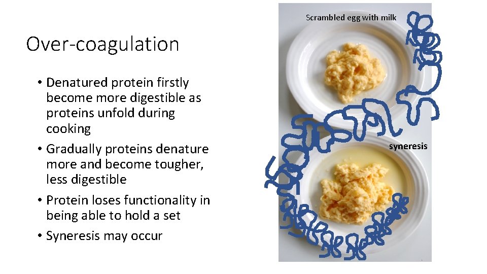 Scrambled egg with milk Over-coagulation • Denatured protein firstly become more digestible as proteins