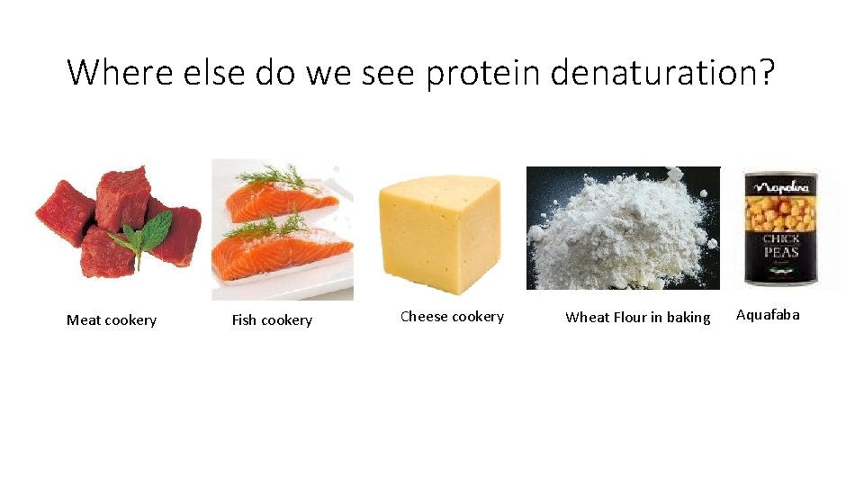 Where else do we see protein denaturation? Meat cookery Fish cookery Cheese cookery Wheat