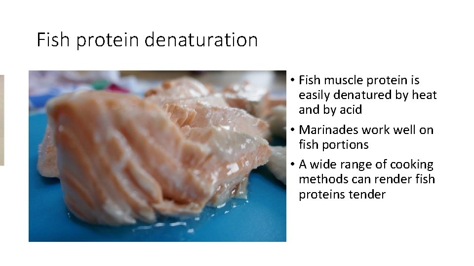 Fish protein denaturation • Fish muscle protein is easily denatured by heat and by