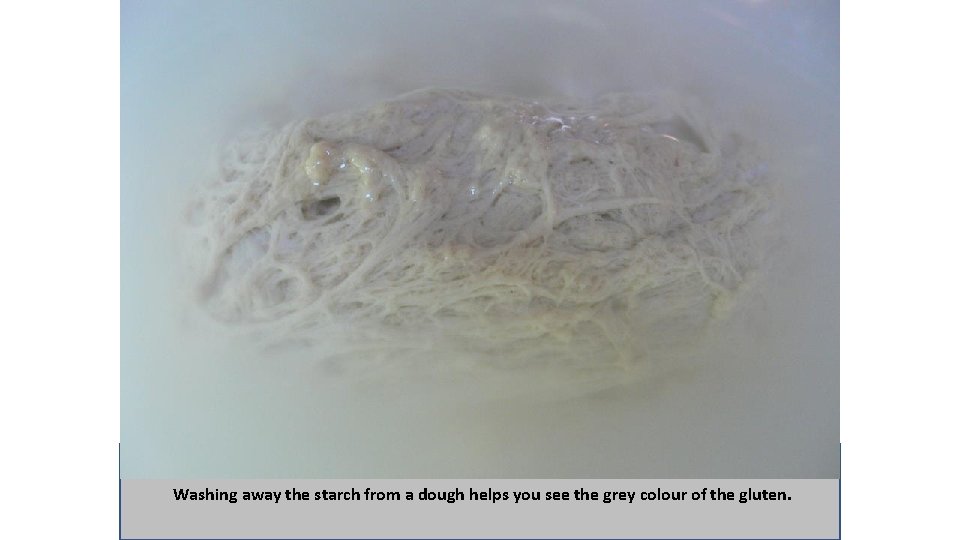 Washing away the starch from a dough helps you see the grey colour of