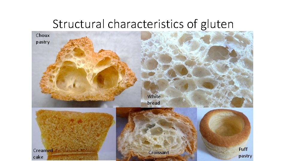 Structural characteristics of gluten Choux pastry White bread Creamed cake Croissant Puff pastry 