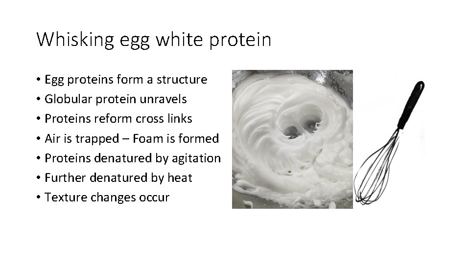 Whisking egg white protein • Egg proteins form a structure • Globular protein unravels