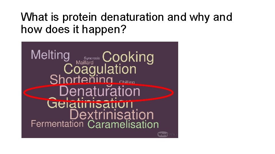 What is protein denaturation and why and how does it happen? 