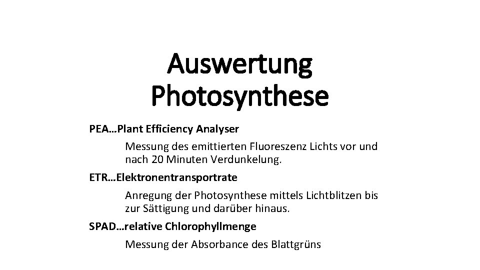 Auswertung Photosynthese PEA…Plant Efficiency Analyser Messung des emittierten Fluoreszenz Lichts vor und nach 20