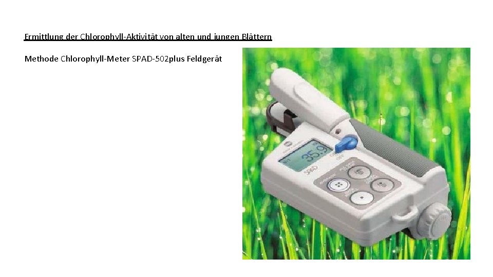 Ermittlung der Chlorophyll-Aktivität von alten und jungen Blättern Methode Chlorophyll-Meter SPAD-502 plus Feldgerät 