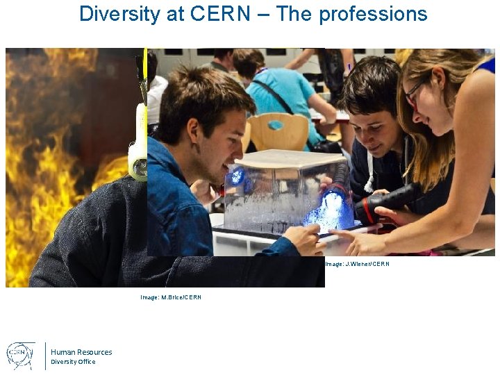 Diversity at CERN – The professions Image: J. Wiener/CERN Image: M. Brice/CERN Human Resources