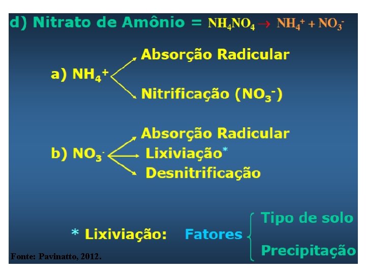 Fonte: Pavinatto, 2012. 