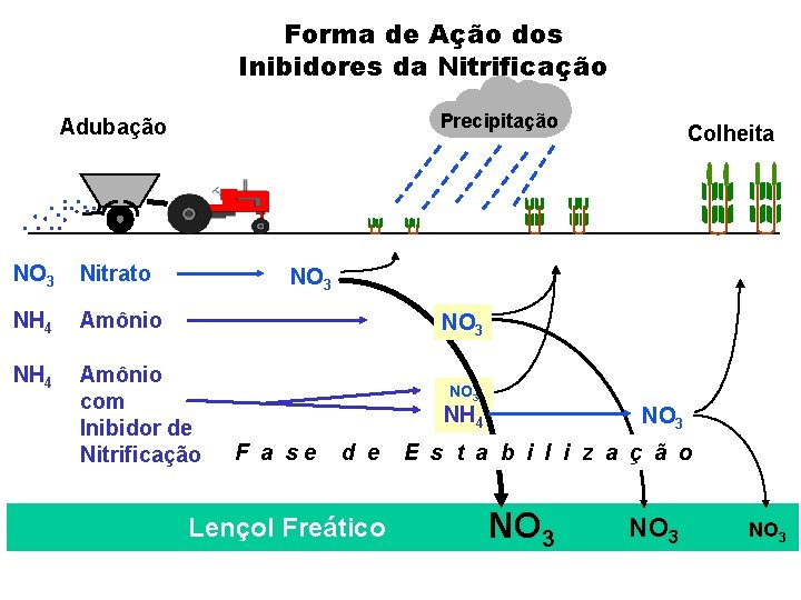Forma de Ação dos Inibidores da Nitrificação Precipitação Adubação NO 3 Nitrato NH 4
