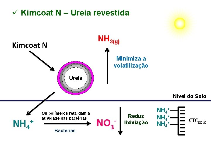 ü Kimcoat N – Ureia revestida NH 3(g) Kimcoat N Minimiza a volatilização Ureia