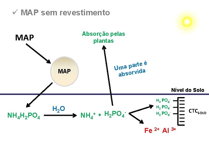 ü MAP sem revestimento Absorção pelas plantas MAP rte é a p a Um