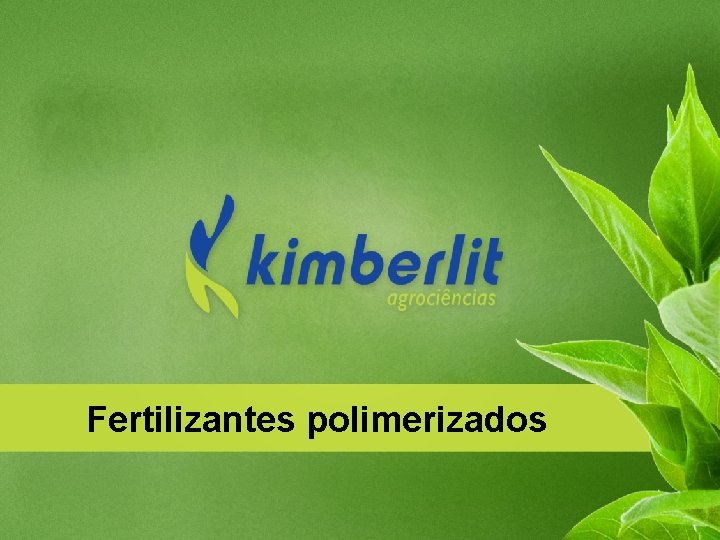 Fertilizantes polimerizados 