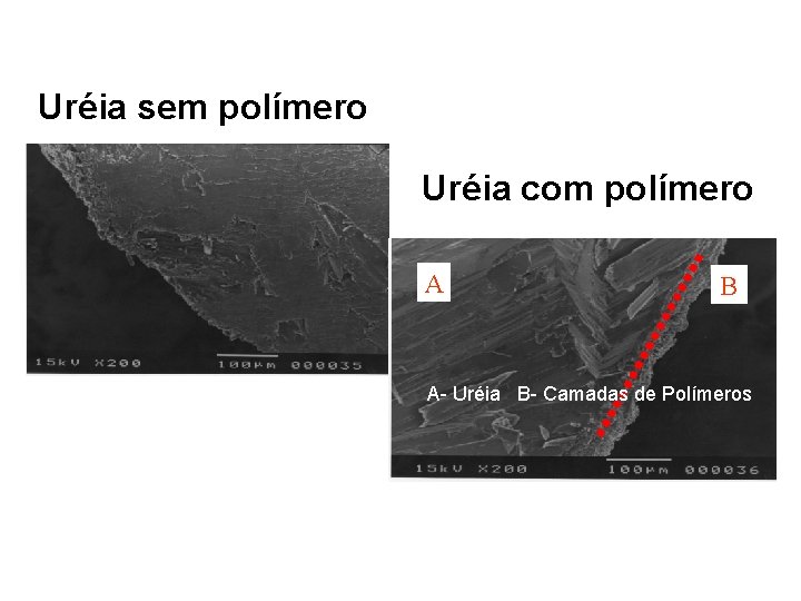 Uréia sem polímero Uréia com polímero A B A- Uréia B- Camadas de Polímeros