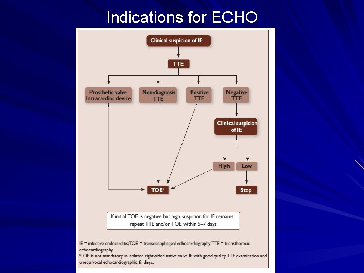 Indications for ECHO 