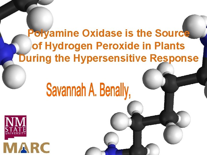 Polyamine Oxidase is the Source of Hydrogen Peroxide in Plants During the Hypersensitive Response