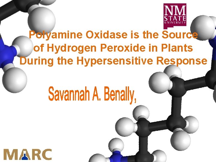 Polyamine Oxidase is the Source of Hydrogen Peroxide in Plants During the Hypersensitive Response