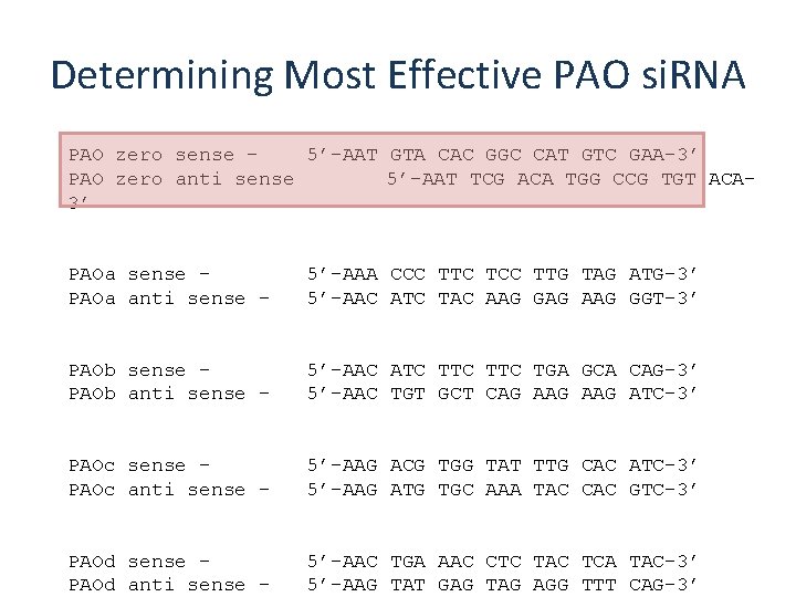 Determining Most Effective PAO si. RNA PAO zero sense - 5’-AAT GTA CAC GGC