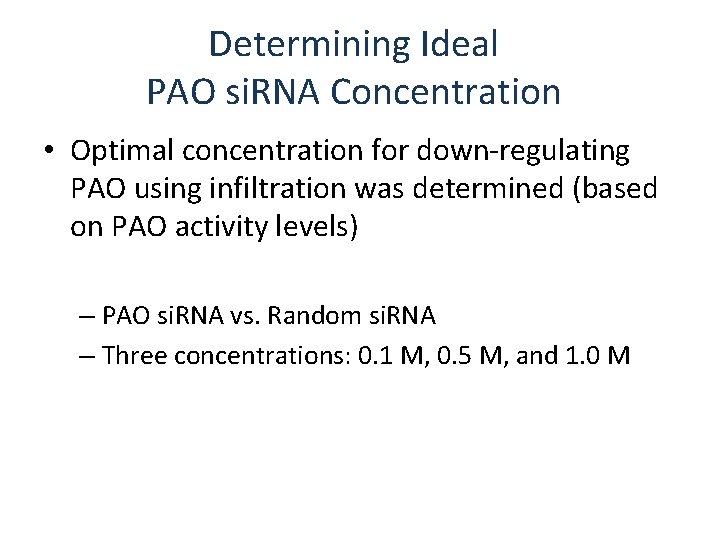 Determining Ideal PAO si. RNA Concentration • Optimal concentration for down-regulating PAO using infiltration
