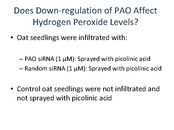 Does Down-regulation of PAO Affect Hydrogen Peroxide Levels? • Oat seedlings were infiltrated with:
