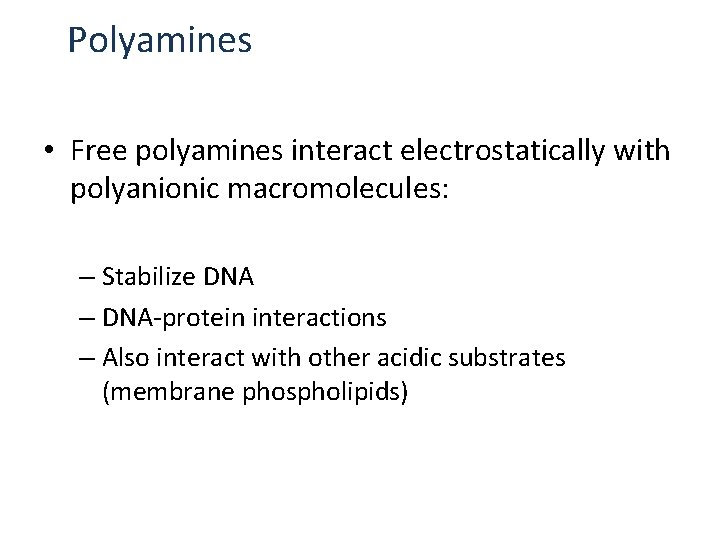 Polyamines • Free polyamines interact electrostatically with polyanionic macromolecules: – Stabilize DNA – DNA-protein