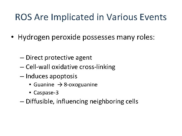 ROS Are Implicated in Various Events • Hydrogen peroxide possesses many roles: – Direct