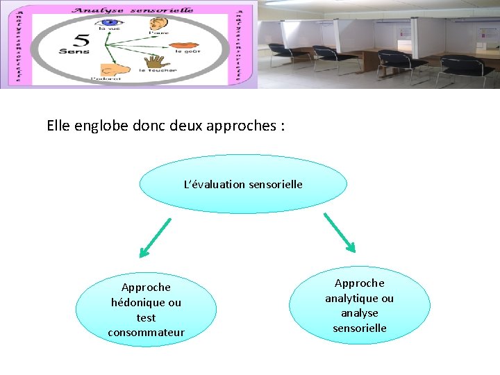 Elle englobe donc deux approches : L’évaluation sensorielle Approche hédonique ou test consommateur Approche