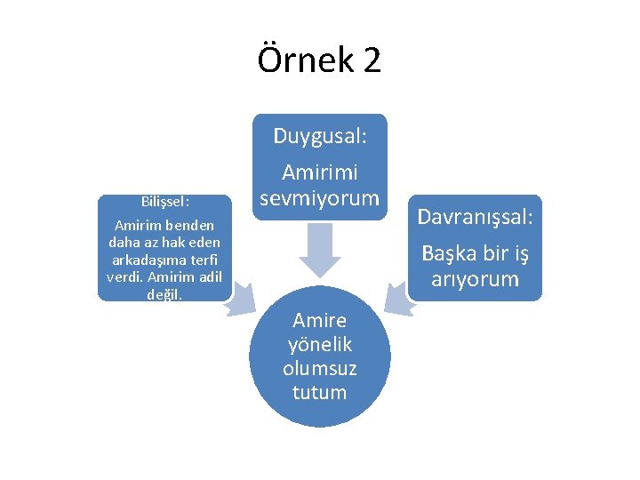 Örnek 2 Duygusal: Bilişsel: Amirimi sevmiyorum Amirim benden daha az hak eden arkadaşıma terfi