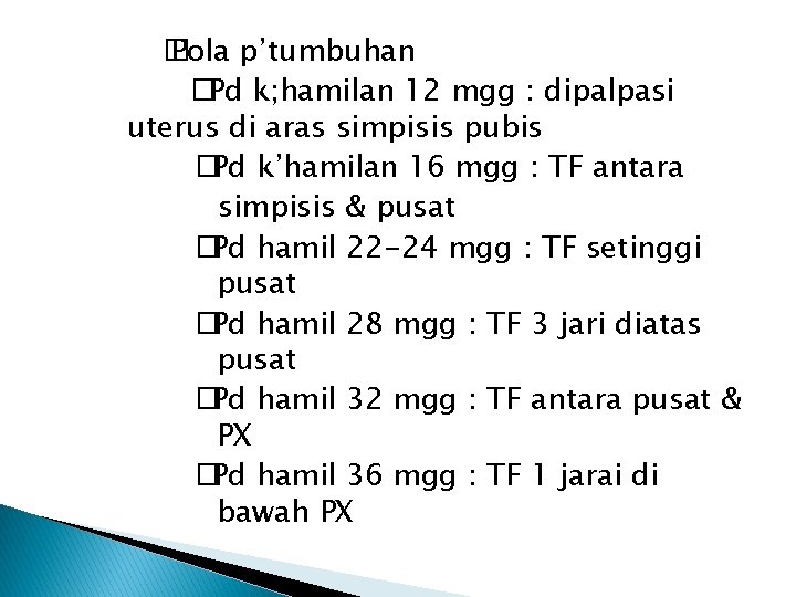 � Pola p’tumbuhan �Pd k; hamilan 12 mgg : dipalpasi uterus di aras simpisis