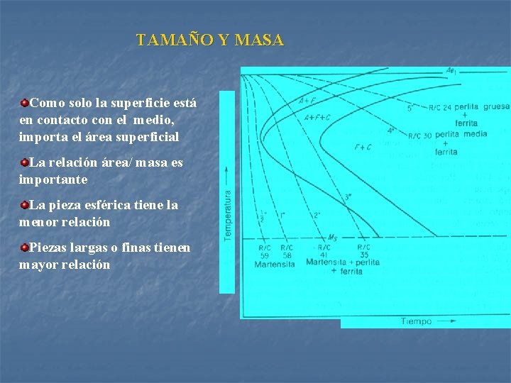 TAMAÑO Y MASA Como solo la superficie está en contacto con el medio, importa