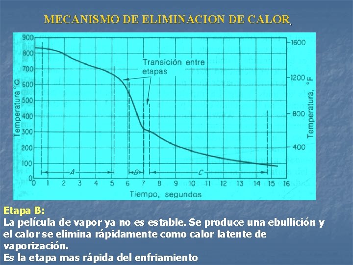 MECANISMO DE ELIMINACION DE CALOR Etapa B: La película de vapor ya no es