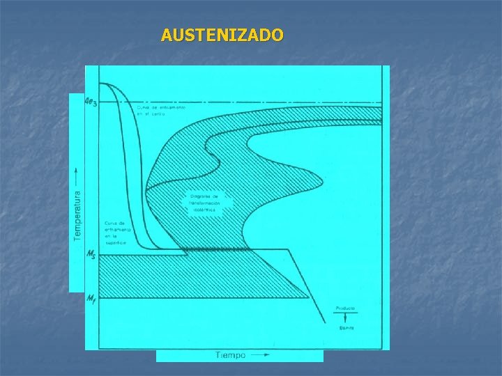 AUSTENIZADO 