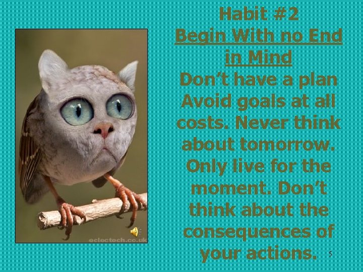 Habit #2 Begin With no End in Mind Don’t have a plan Avoid goals