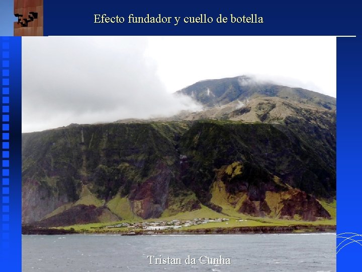 Efecto fundador y cuello de botella Tristan da Cunha 