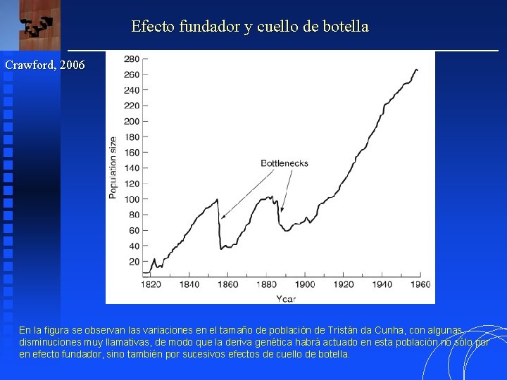 Efecto fundador y cuello de botella Crawford, 2006 En la figura se observan las