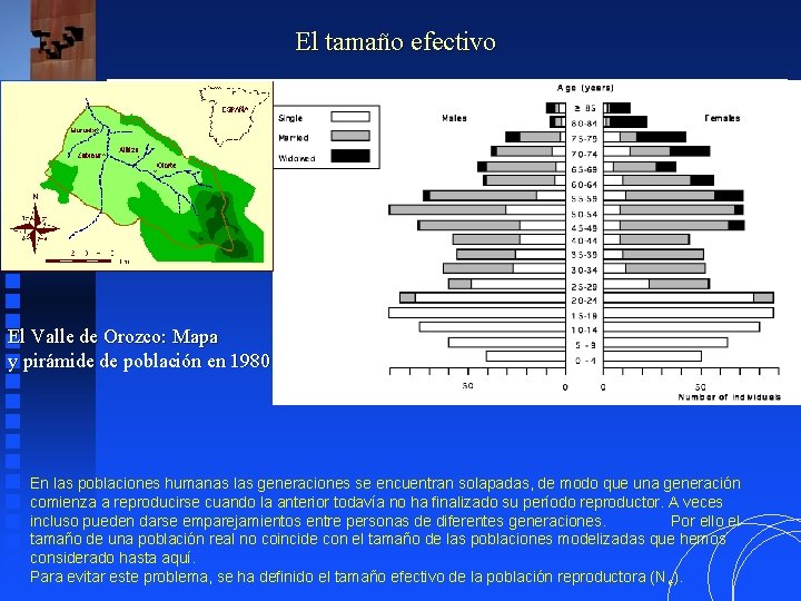 El tamaño efectivo El Valle de Orozco: Mapa y pirámide de población en 1980