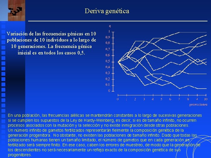 Deriva genética Variación de las frecuencias génicas en 10 poblaciones de 10 individuos a