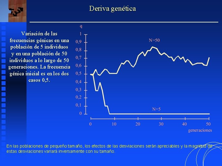 Deriva genética Variación de las frecuencias génicas en una población de 5 individuos y