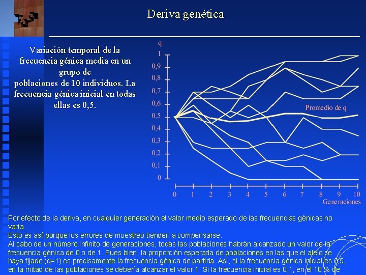 Deriva genética Variación temporal de la frecuencia génica media en un grupo de poblaciones
