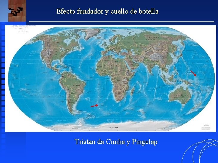 Efecto fundador y cuello de botella Tristan da Cunha y Pingelap 