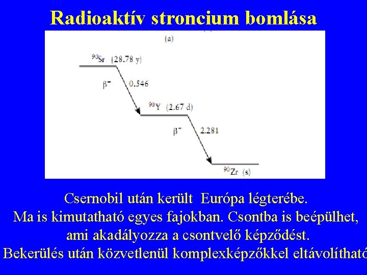 Radioaktív stroncium bomlása Csernobil után került Európa légterébe. Ma is kimutatható egyes fajokban. Csontba