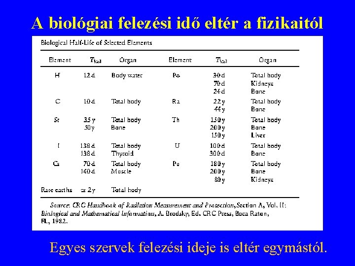 A biológiai felezési idő eltér a fizikaitól Egyes szervek felezési ideje is eltér egymástól. A biológiai felezési idő eltér a fizikaitól Egyes szervek felezési ideje is eltér egymástól.