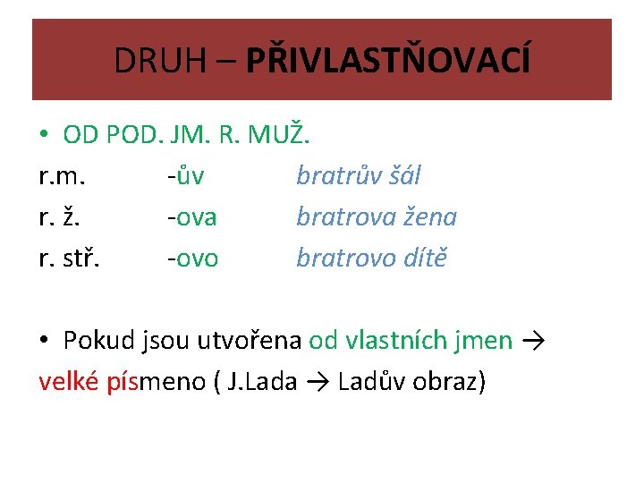 DRUH – PŘIVLASTŇOVACÍ • OD POD. JM. R. MUŽ. r. m. -ův bratrův šál