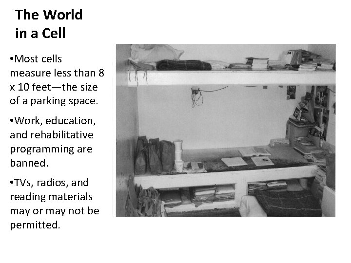 The World in a Cell • Most cells measure less than 8 x 10