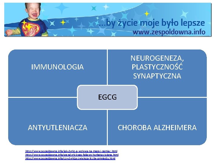 NEUROGENEZA, PLASTYCZNOŚĆ SYNAPTYCZNA IMMUNOLOGIA EGCG ANTYUTLENIACZA CHOROBA ALZHEIMERA http: //www. zespoldowna. info/jak-dyrk 1 -a-wplywa-na-mozg-i-pamiec.