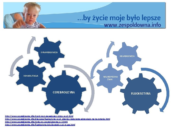 SYNAPSOGENEZA NEUROGENEZA REHABILITACJA NEUROPRZEKA ŹNIKI CEREBROLIZYNA http: //www. zespoldowna. info/rcan 1 -gen-powodujacy-stres-w-zd. html http: