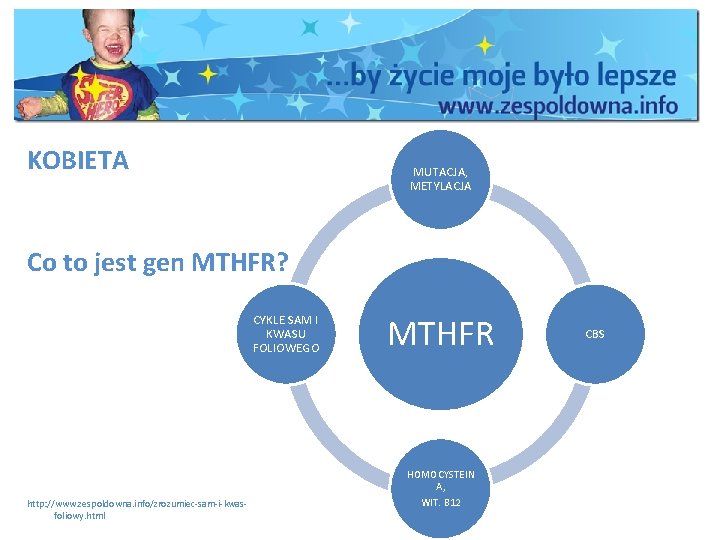 KOBIETA MUTACJA, METYLACJA Co to jest gen MTHFR? CYKLE SAM I KWASU FOLIOWEGO http: