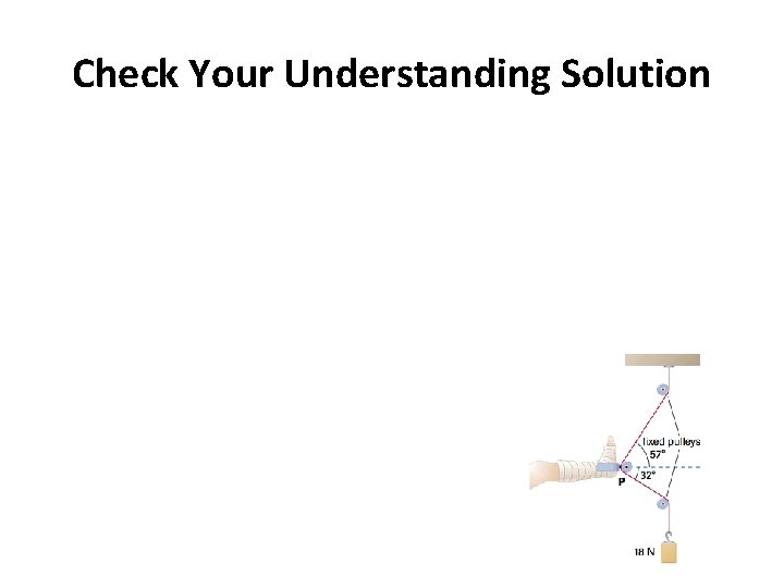 Check Your Understanding Solution 