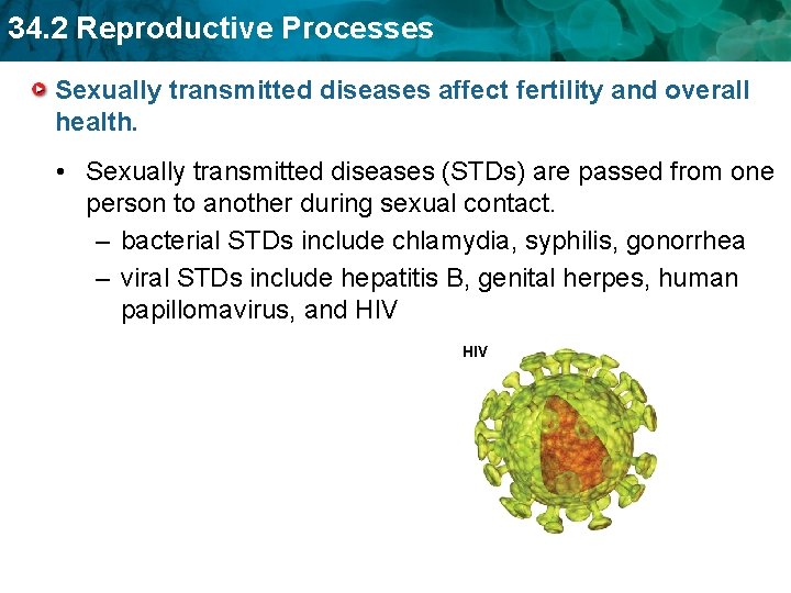 34. 2 Reproductive Processes Sexually transmitted diseases affect fertility and overall health. • Sexually