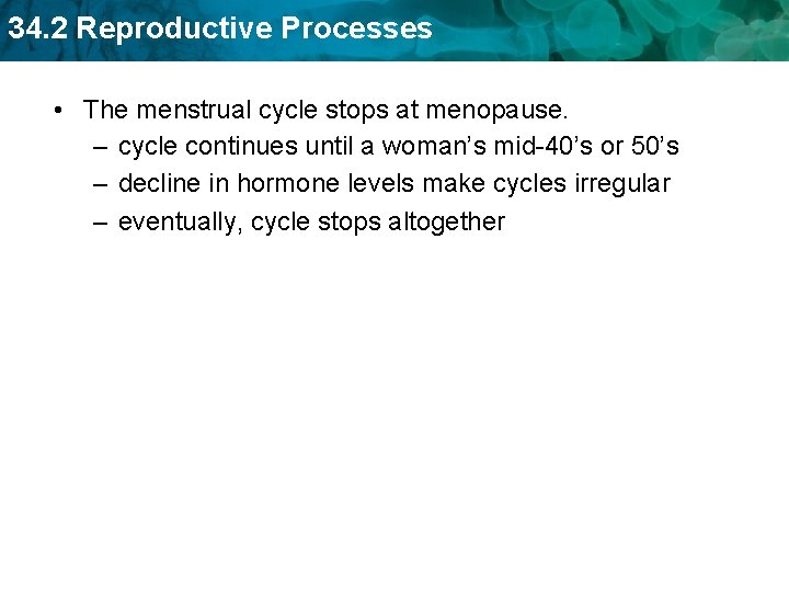 34. 2 Reproductive Processes • The menstrual cycle stops at menopause. – cycle continues