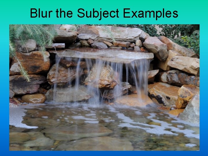 Blur the Subject Examples 